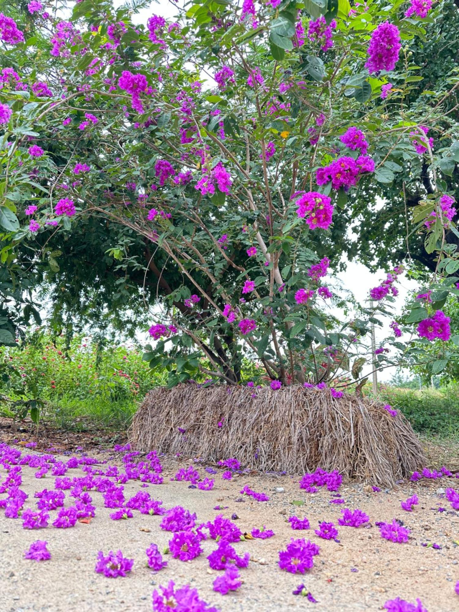 Ban Suweena Uthai Thani Buitenkant foto